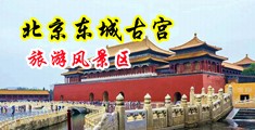 亚洲人人插中国北京-东城古宫旅游风景区